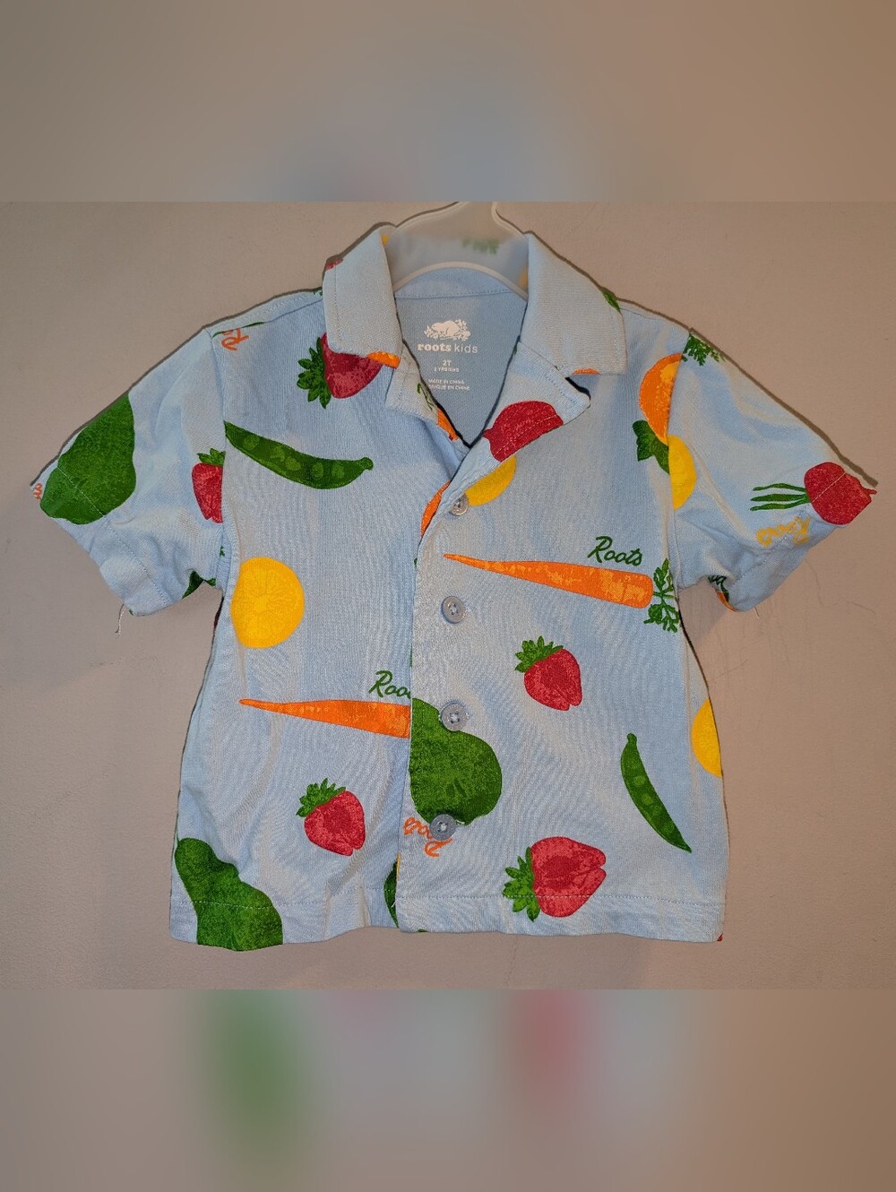 🥕 Roots Kids Light Blue Vegetable Fruit Print Button-Up Shirt Toddler Boys 2T